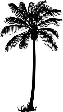 a black and white silhouette of a palm tree