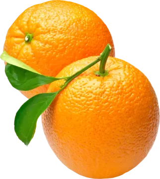two oranges on a white background