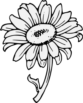 a black and white drawing of a flower