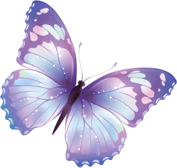 a purple butterfly on a white background