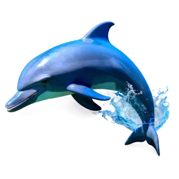 a dolphin is jumping out of the water