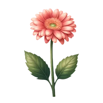 a pink flower on a white background
