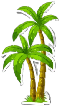 two palm trees on white background