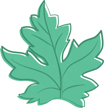 a green leaf