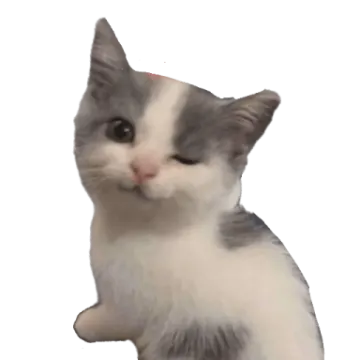 a gray and white kitten sitting on the ground