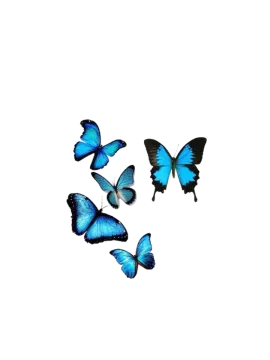 a group of blue butterflies flying in the air