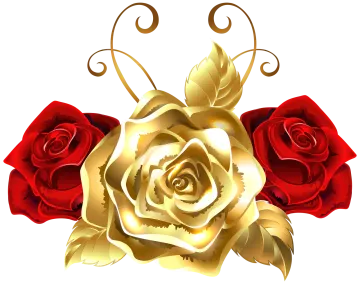 a bunch of red and gold roses