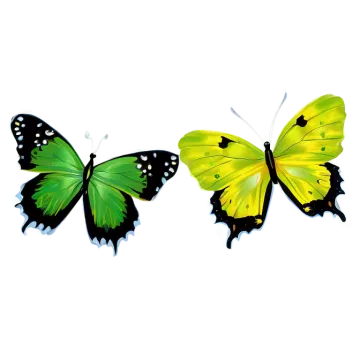 two butterflies on a white background
