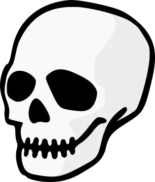 a black and white skull