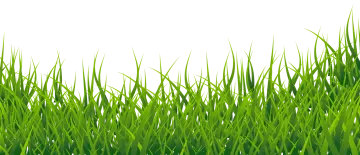 a green grass background