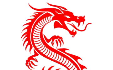 a red dragon tattoo design