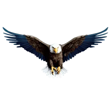 an eagle flying with its wings spread out