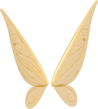 a pair of gold butterfly wings