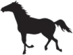 a silhouette of a horse