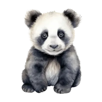 a watercolor painting of a panda bear