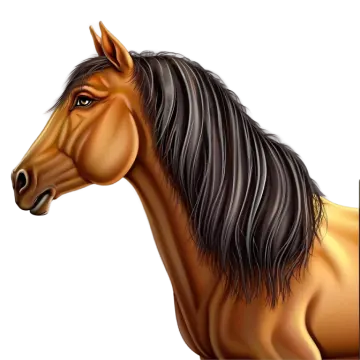 an image of a horse with long hair
