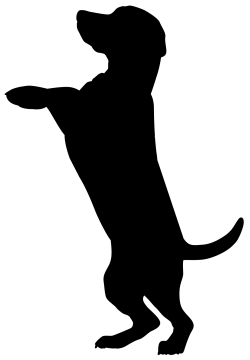 a black and white silhouette of a dog