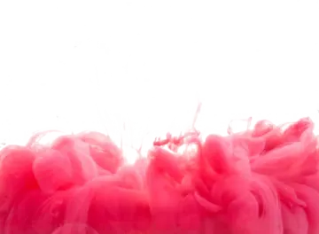 pink feathers on a white background