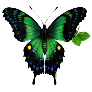 a green butterfly with blue and yellow spots