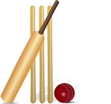 a cricket bat and ball