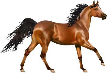 a brown horse with black manes