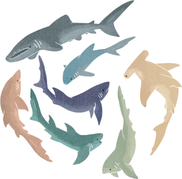 a group of fish swimming in a circle