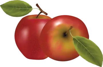 two red apples with green leaves
