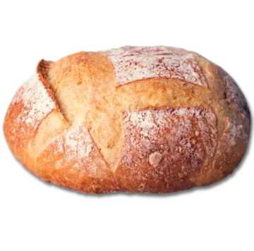 a loaf of bread on a white background