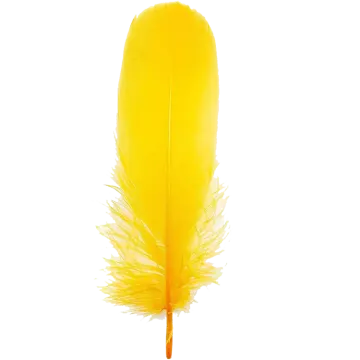 a yellow feather on a white background