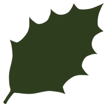 a green leaf