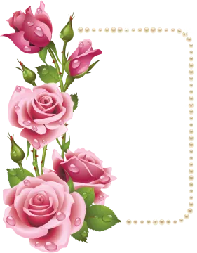 a frame with pink roses and pearls
