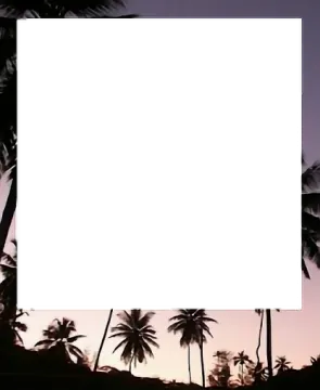 a picture frame with palm trees in the background