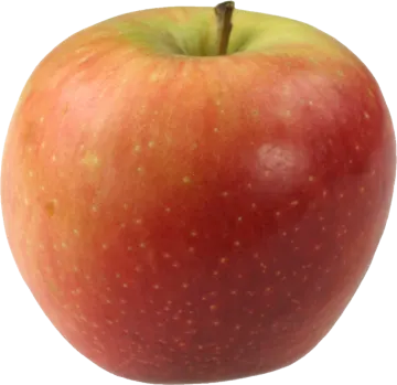 an apple on a white background