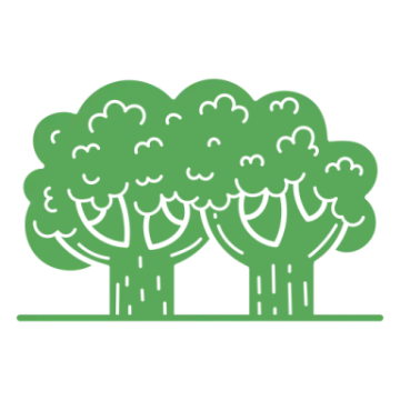 a group of trees with green leaves