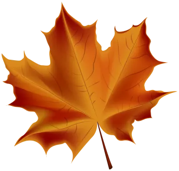 an orange maple leaf on a white background