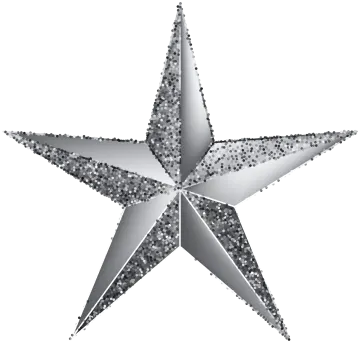 a silver star on a white background