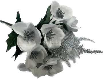a bouquet of white flowers on a white background