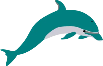 a dolphin jumping out of the water