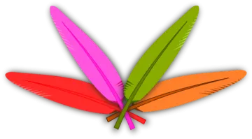 a pair of colorful feathers