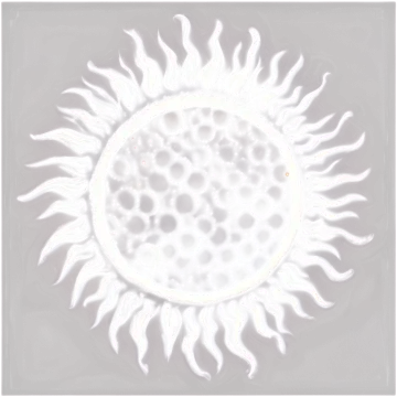 an image of a sunflower