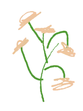 a drawing of a plant with green leaves