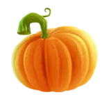 a small orange pumpkin on a white background