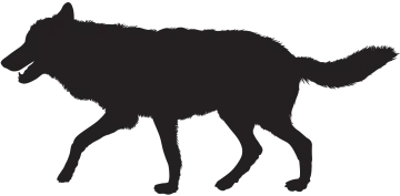 a black silhouette of a dog walking