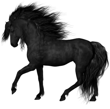 a black horse running on a white background