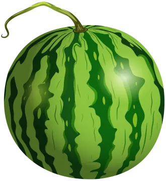 a watermelon on a white background