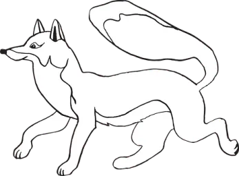 how to draw a wolf