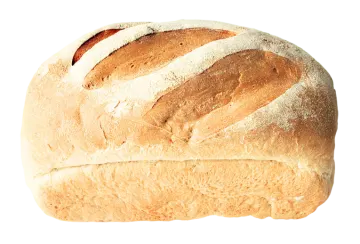 a loaf of bread on a white background