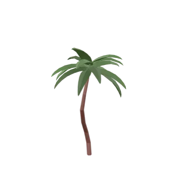 a palm tree on a white background