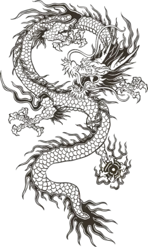a dragon tattoo design
