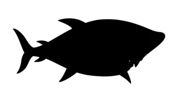 a black and white silhouette of a fish